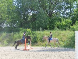 img_3553_web